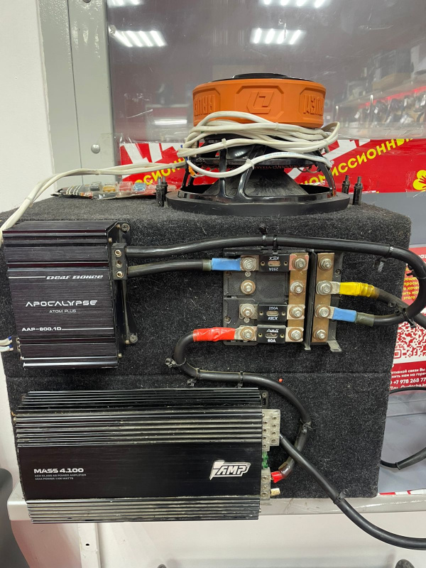 Авто сабвуфер DL Audio Raven 10 V.2