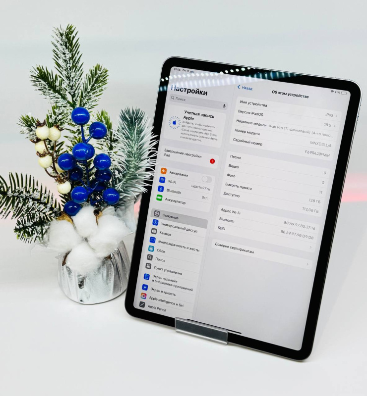 Планшет Apple iPad Pro 11 (4-го поколения) (2022)