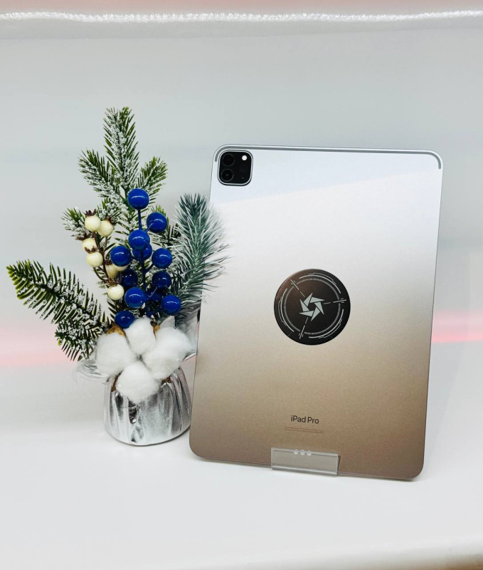 Планшет Apple iPad Pro 11 (4-го поколения) (2022)